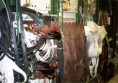 /album/a2001-life-in-the-universe-cern/liu-cern-070-jpg/